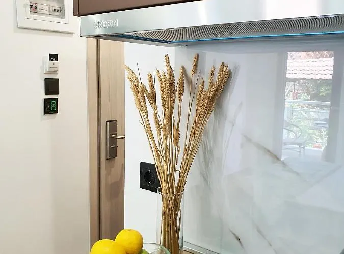 Sofia Fresh 아파트 리메나리아