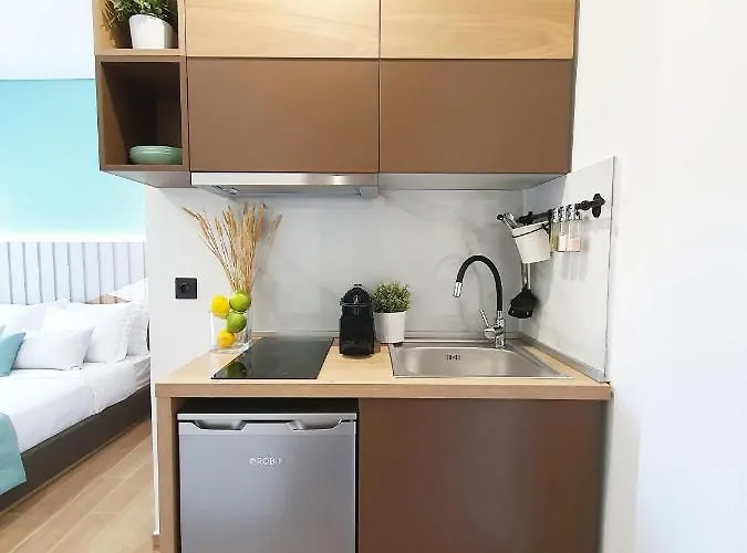 Sofia Fresh 리메나리아